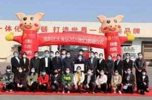 洛阳乐动注册出口香港产品顺利通关！