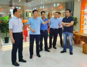 新安县委书记宗国明考察洛阳乐动注册食品