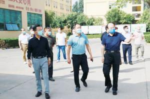 西工区人大代表到洛阳乐动注册调研指导工作