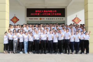 总结过去，计划未来，协同创新，再创佳绩！洛阳乐动注册举行2023年上半年工作总结会议